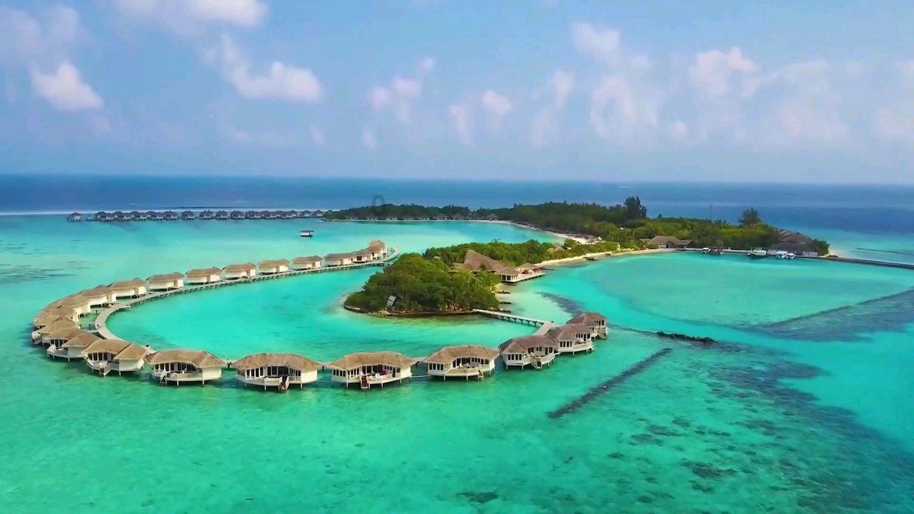 国产孟鲁司特钠为什么这么便宜？
