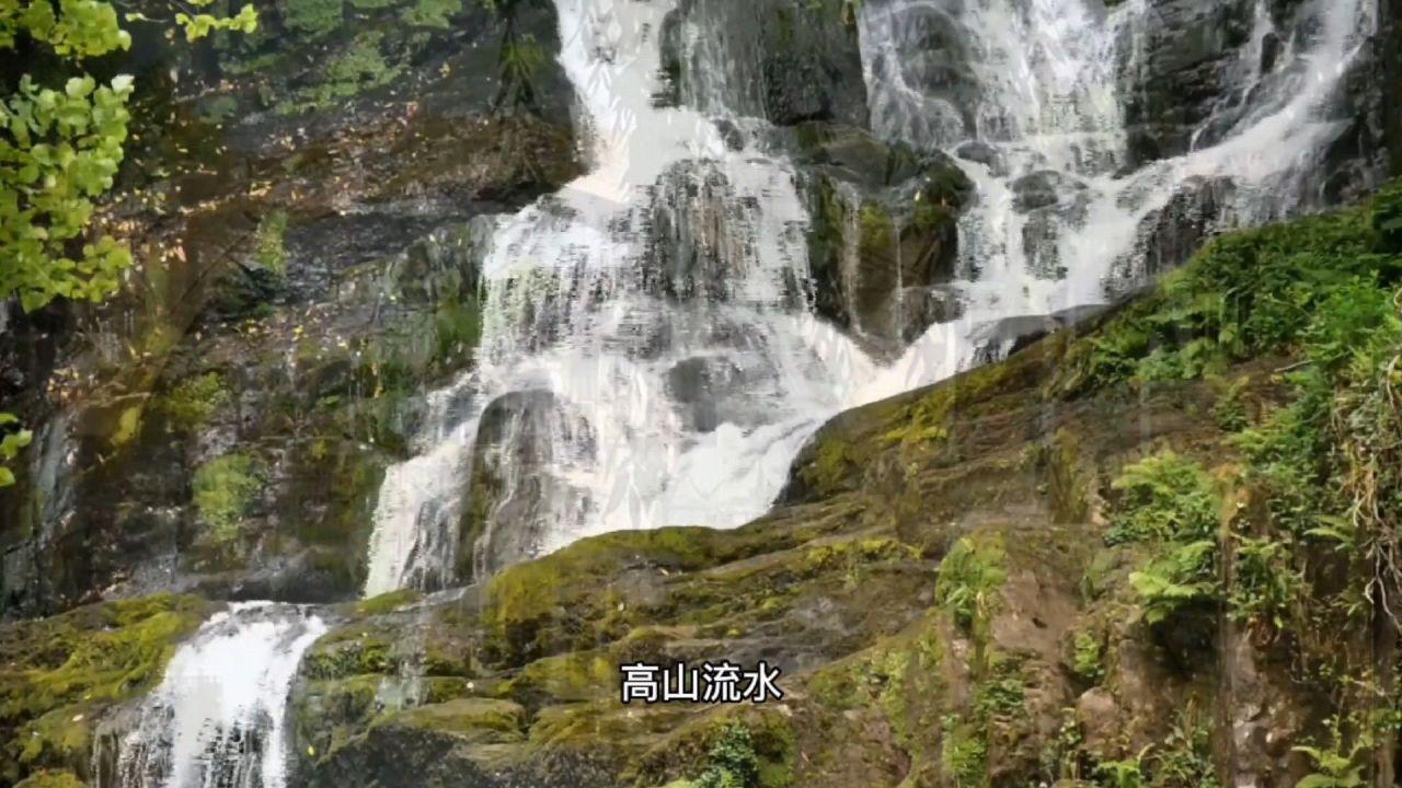 普京：俄罗斯要扩大北极船队 设定新的宏伟目标